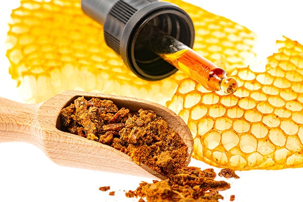 Chatta Gond (Propolis)